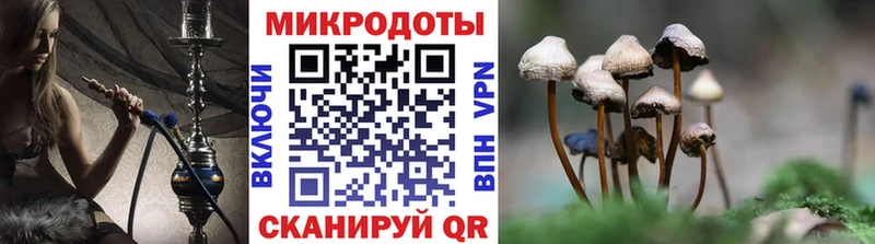 Галлюциногенные грибы мицелий  Ленинск-Кузнецкий 